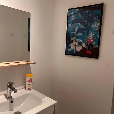 5- Les Erables Mauves * Poitiers