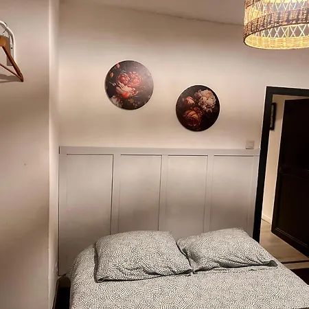 5- Les Erables Mauves * Poitiers