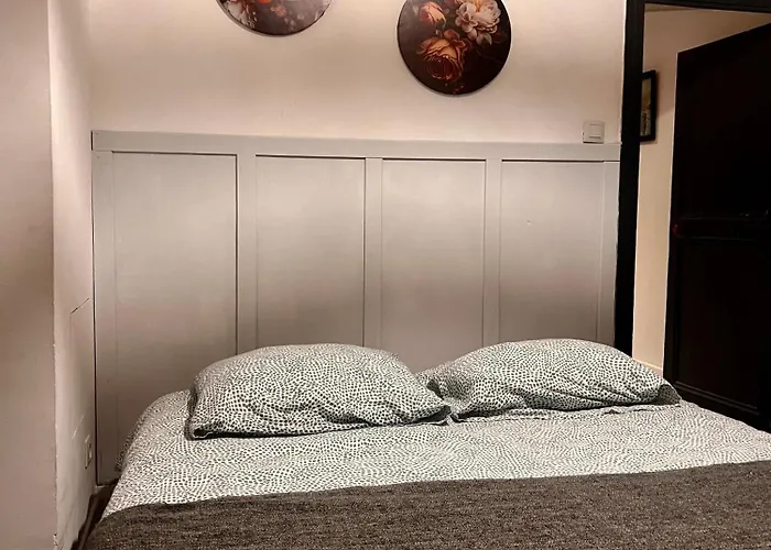 5- Les Erables Mauves アパート ポアティエ