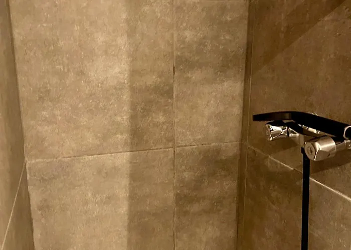 5- Les Erables Mauves